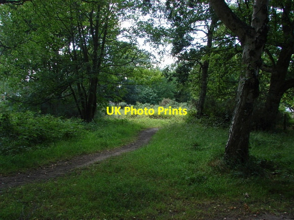 Photo 6"x4" Colony Gate Deepcut c2010 P1