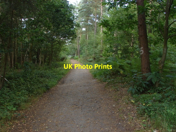 Photo 6"x4" Chobham Ridges Deepcut c2010