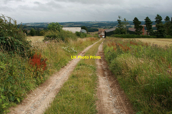 Photo 6"x4" Track from Black Barn Farm Bourton\/SO5996 c2010