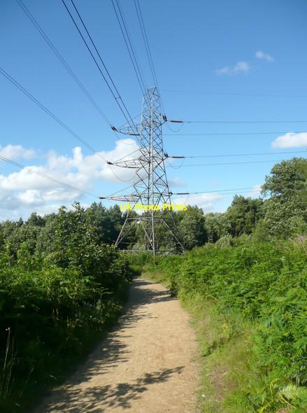 Photo 6"x4" Permissive bridleway through Buck Wood, Thackley Baildon c2010