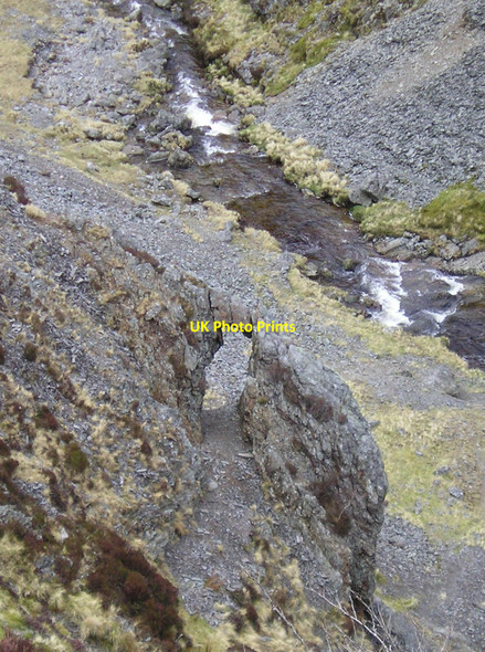 Photo 6"x4" A dry leat Dylife c2008