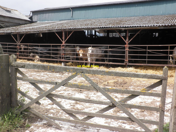 Photo 6"x4" Farmyard, at Luntley Bearwood\/SO3856 c2010
