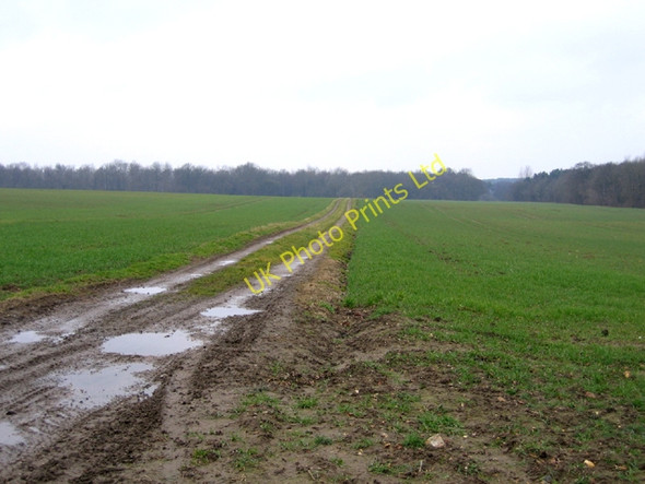 Photo 6"x4" Farm track, Raynham, Norfolk Helhoughton c2006