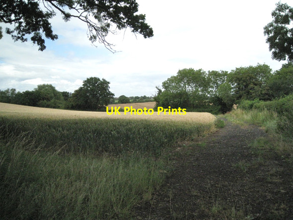 Photo 6"x4" Wheatfield by Moorslade Lane Falfield\/ST6893 c2010