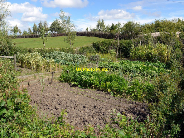 Photo 6"x4" Anglo-Saxon Vegetable Garden, Bede's World Jarrow c2010