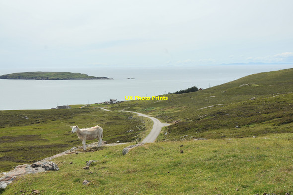 Photo 6"x4" View over Altandhu Brae of Achnahaird c2010