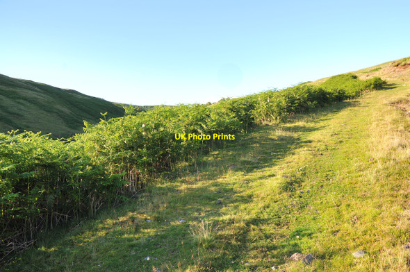 Photo 6"x4" Hill track near Scammadale Farm Knipoch c2010