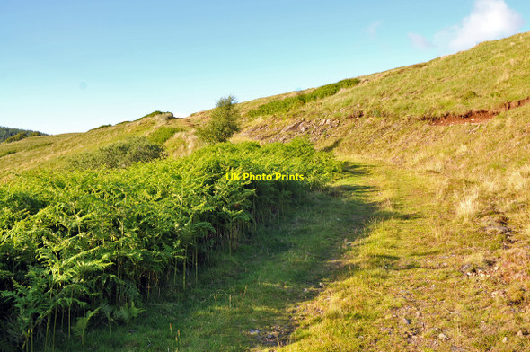 Photo 6"x4" Hill track near Scammadale Farm Eas Ruadh\/NM8921 c2010