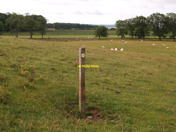 Photo 6"x4" Footpath marker in field near Aydon Castle Aydon c2010
