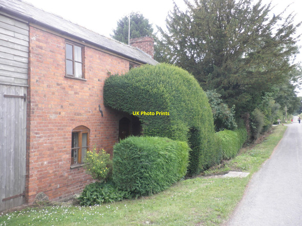 Photo 6"x4" Yew Tree Farm Bearwood\/SO3856 c2010