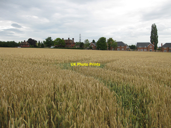 Photo 6"x4" Wheat field on the fringe of Lea Lea\/SO6521 c2010