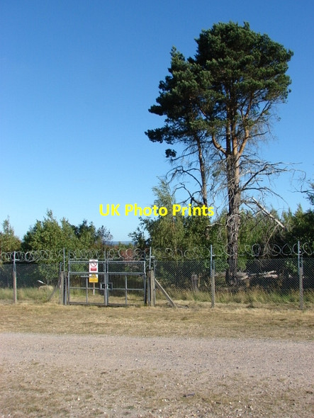 Photo 6"x4" Pirbright Ranges Bagshot Heath\/SU9161 c2010