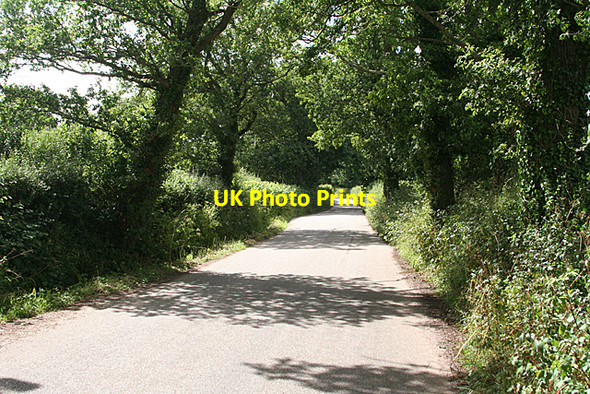 Photo 6"x4" Cullompton: lane to Lower Upton Mutterton c2010