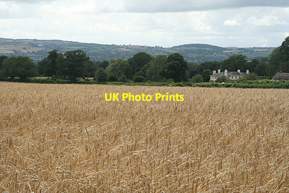 Photo 6"x4" Kentisbeare: towards Kentisbeare House Dulford c2010