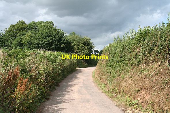 Photo 6"x4" Payhembury: towards Upton Upton\/ST0902 c2010