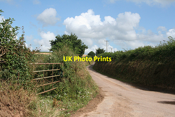 Photo 6"x4" Payhembury: towards Feniton Upton\/ST0902 c2010