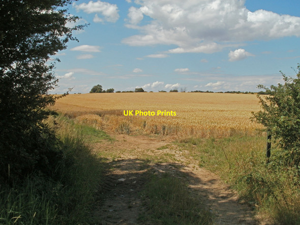 Photo 6"x4" Field Entry off Thornton Road The Hallands c2010