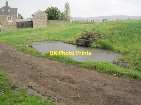 Photo 6"x4" Horse Trough, Embley Rawgreen c2010