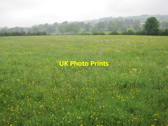 Photo 6"x4" Meadow near Leekworth Farm Laithkirk c2010