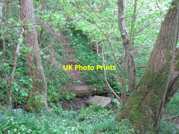 Photo 6"x4" Teesdale Way High Dyke\/NY9525 c2010