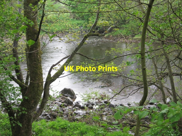 Photo 6"x4" River Tees from the Teesdale Way High Dyke\/NY9525 c2010