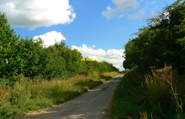 Photo 6"x4" South along Clark's Lane, near Siddington Upper Siddington c2010