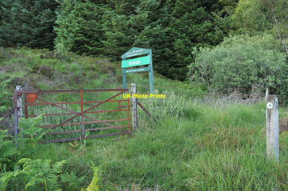 Photo 6"x4" The Old Coffin Route in Balinoe Forest Eas Ruadh\/NM8921 c2010