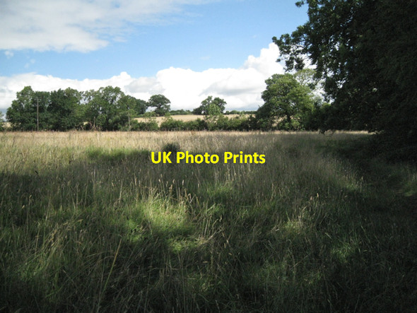 Photo 6"x4" Field by the Bell Brook Snitterfield c2010