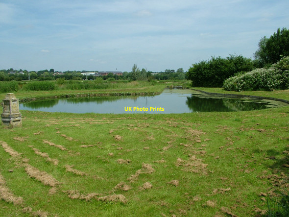 Photo 6"x4" Chadwell Spring Hertford c2010