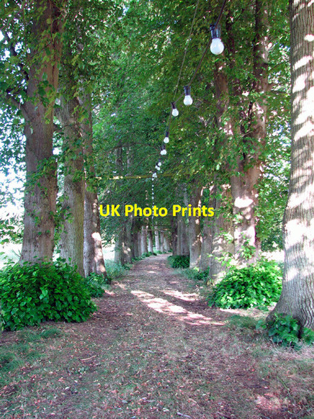 Photo 6"x4" A village road no longer - West Tofts West Tofts\/TL8392 c2010