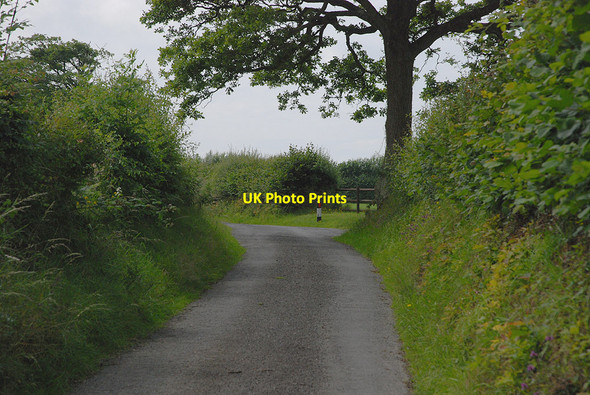 Photo 6"x4" Minor road west of the Afon Dryw Llwyncelyn\/SN4459 c2010