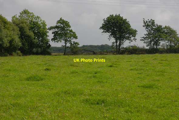 Photo 6"x4" Field near Pant Cefn Llanarth\/SN4257 c2010