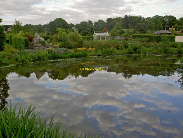Photo 6"x4" Evening reflections of Harlow Carr Harrogate c2010