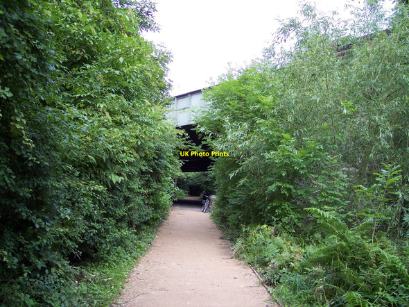Photo 6"x4" Mid summer vegetation encroaches on path under the East Lancs Road St Helens\/SJ5095 c2010