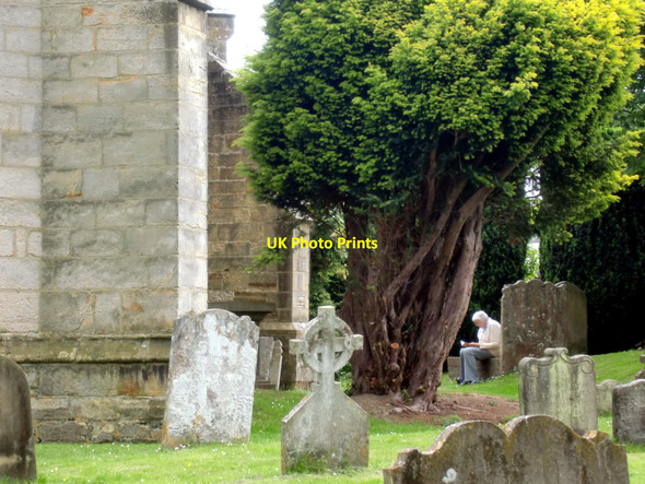 Photo 6"x4" Graveyard, St Mary's, Chiddingstone, Kent Chiddingstone c2010