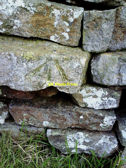 Photo 6"x4" Roadside dry stone wall with benchmark on Askrigg Pasture Askrigg c2010