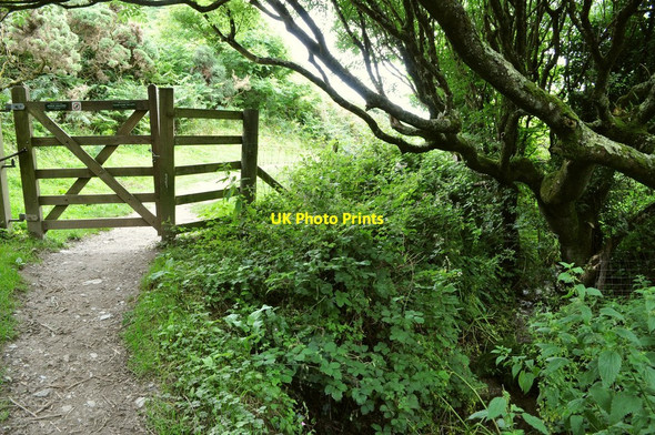 Photo 6"x4" A point where the path through Combesgate Valley crosses the stream Higher Warcombe c2010
