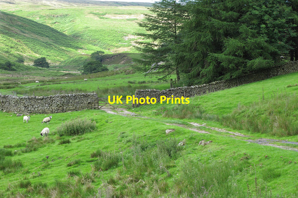 Photo 6"x4" Farm track in Whitendale Whitendale River c2010