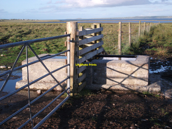 Photo 6"x4" Community grazing drinking troughs Newmarket\/NB4235 c2010