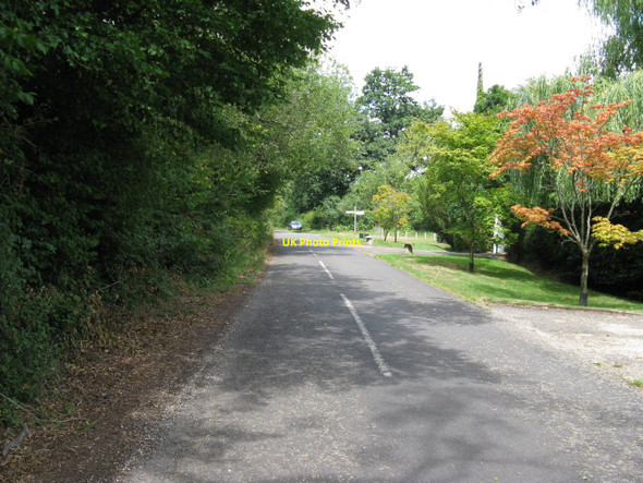 Photo 6"x4" North on Roundals Lane towards Hambledon Hambledon\/SU9638 c2010