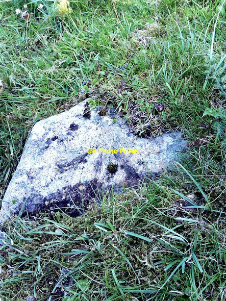 Photo 6"x4" Boulder with benchmark on Askrigg Common Askrigg c2010