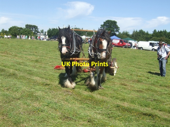 Photo 6"x4" Mowing at Trim Trim c2010