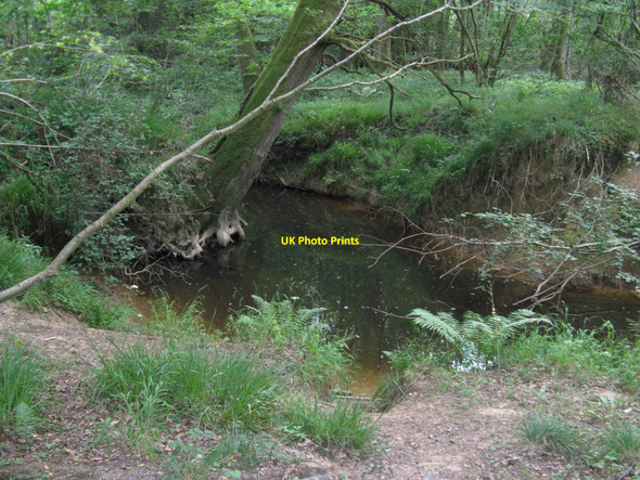 Photo 6"x4" Slow moving stream in The Grove Highstreet Green\/SU9835 c2010