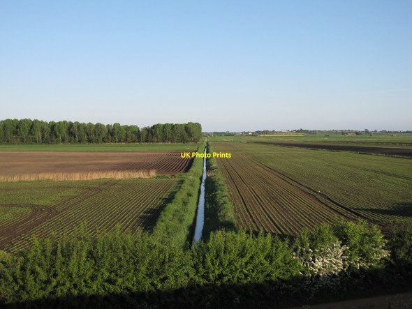 Photo 6"x4" Coveney Byall Fen Oxlode c2010