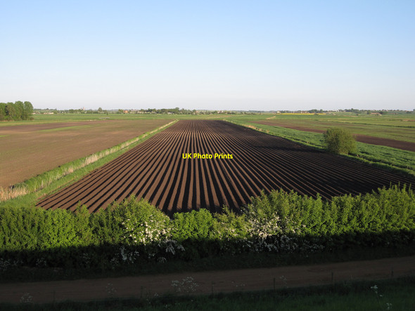Photo 6"x4" Vegetable field Wardy Hill c2010