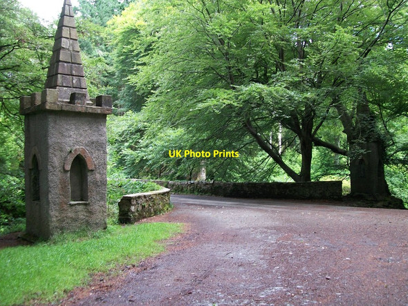 Photo 6"x4" Ivy Bridge, Tollymore Park Newcastle\/J3732 c2010