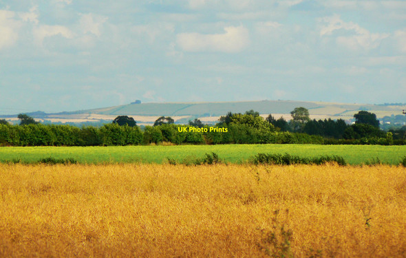 Photo 6"x4" Farmland between Ewen and Siddington Ewen c2010