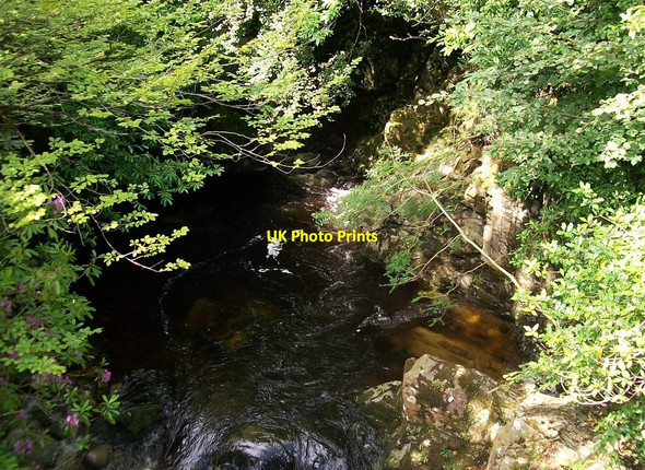 Photo 6"x4" The Shimna Gorge above the Old Bridge Newcastle\/J3732 c2010