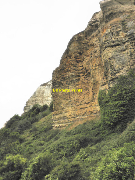 Photo 6"x4" Cliffs, above Hooken beach Vicarage c2010