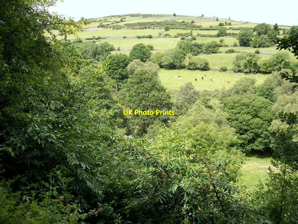 Photo 6"x4" Tullyree Hill from near the King's Grave Kilcoo c2010